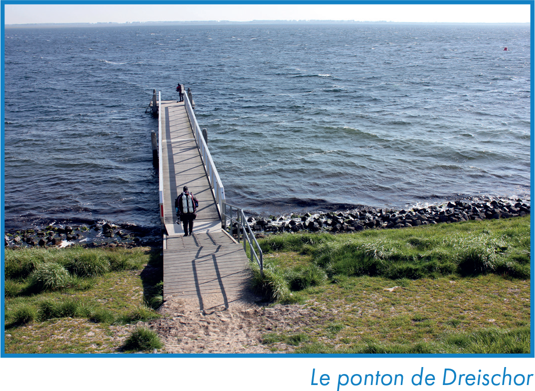 Le ponton de Dreischor